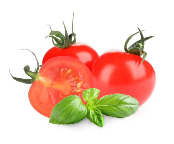 istock Fresh basil leaves and organic tomatoes isolated on white 1339417360