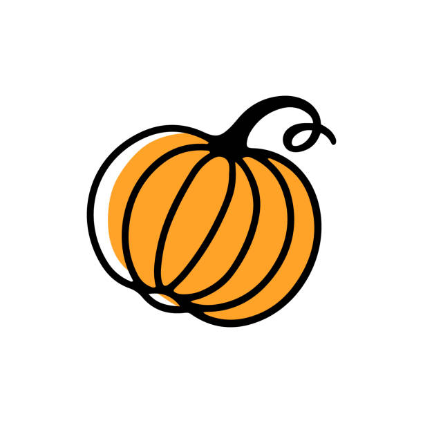 Vector illustration of hand drawn pumpkin isolated on the white background. Vector illustration of hand drawn pumpkin isolated on the white background. Vegetable in doodle style for logo, tag, icon. pumpkin stock illustrations