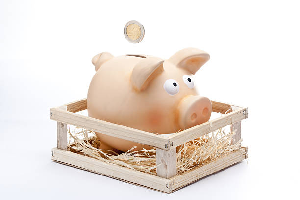 istock Insert Coin in Piggy Bank 133942093