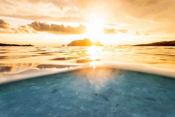 istock (Selective focus) Split shot, over under water surface. Defocused fish under the waterline with Tavolara Island on the surface during a dramatic sunrise. Porto Istana, Sardinia, Italy. 1339421929