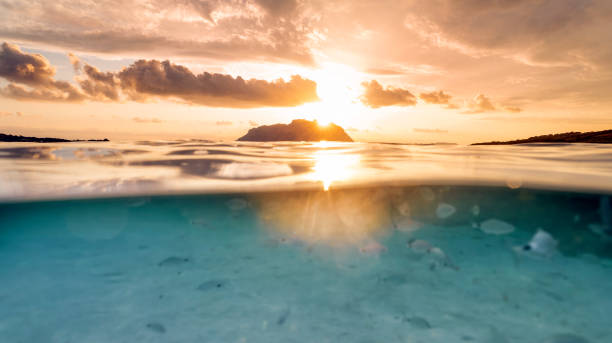 istock (Selective focus) Split shot, over under water surface. Defocused fish under the waterline with Tavolara Island on the surface during a dramatic sunrise. Porto Istana, Sardinia, Italy. 1339421958