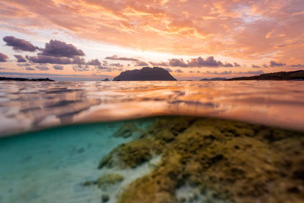 istock (Selective focus) Split shot, over under water surface. Defocused waves in the foreground with Tavolara Island on the surface during a dramatic sunrise. Porto Istana, Sardinia, Italy. 1339422249