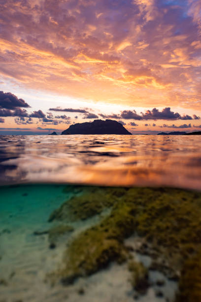 istock (Selective focus) Split shot, over under water surface. Defocused waves in the foreground with Tavolara Island on the surface during a dramatic sunrise. Porto Istana, Sardinia, Italy. 1339422465