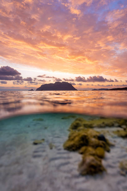 istock (Selective focus) Split shot, over under water surface. Defocused waves in the foreground with Tavolara Island on the surface during a dramatic sunrise. Porto Istana, Sardinia, Italy. 1339422488