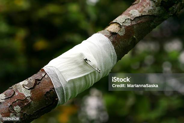 Las Ayudas En Materia De Medio Ambiente Foto de stock y más banco de imágenes de Accidentes y desastres - Accidentes y desastres, Aire libre, Arbusto