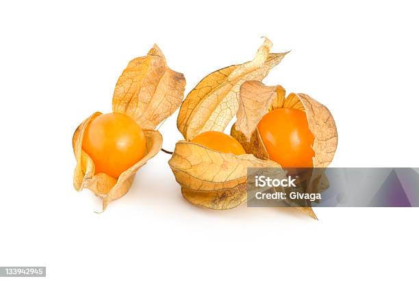 Physalis Isolato - Fotografie stock e altre immagini di Alchechengi - Frutti di bosco - Alchechengi - Frutti di bosco, Autunno, Bacca