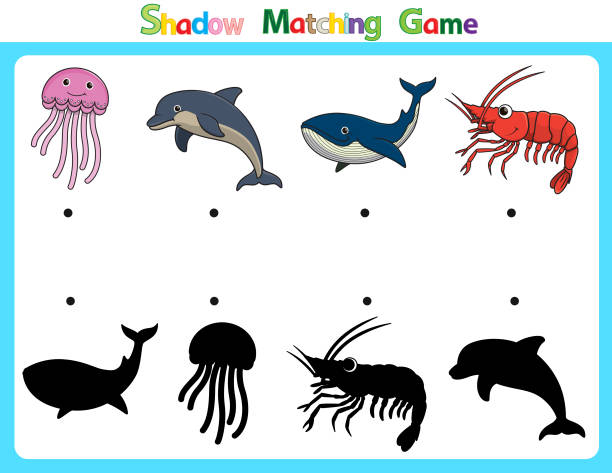 Vector illustration for learning  shadow of different shapes. For children witch  4 cartoon images Jellyfish, Dolphin, Whale, Shrimp. Vector illustration for learning  shadow of different shapes. For children witch  4 cartoon images Jellyfish, Dolphin, Whale, Shrimp learning pages for kids. blue whale tail stock illustrations
