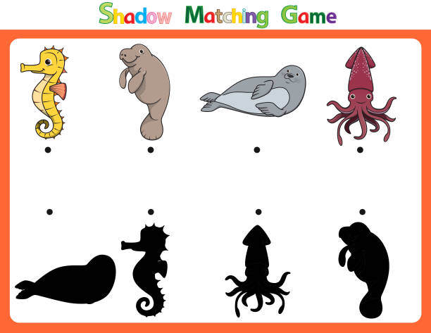 stockillustraties, clipart, cartoons en iconen met vector illustration for learning  shadow of different shapes. for children witch  4 cartoon images sea horse, dugong, seal, octopus  . - squid games