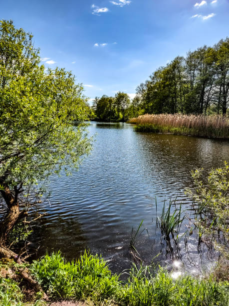 istock View of an idyllic lake 1339433531