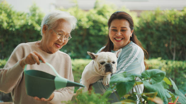 Happy family spending leisure time in their garden. Senior mother showing plants care and talking with daughter holding a French bulldog. dog disruptagingcollection stock pictures, royalty-free photos & images