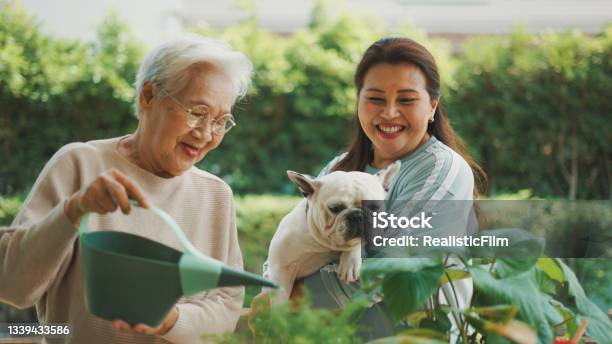 Happy Family Spending Leisure Time In Their Garden Stock Photo - Download Image Now