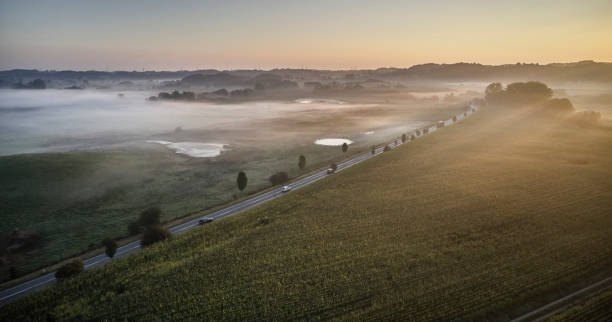 sobre el campo de maíz - morning cereal plant fog corn crop fotografías e imágenes de stock