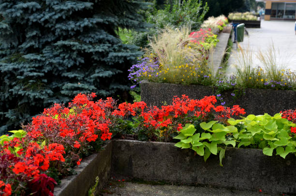 am rande der erhöhten terrasse mit blick auf den park befindet sich ein langer blumentopf aus beton mit einer betonbank. ist teil der stadtkolonnade. blumen blühen hier, - bicycle ornamental garden flower formal garden stock-fotos und bilder