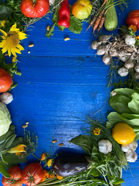 istock Seasonal vegetables selection on blue wooden table with copy space 1339438946