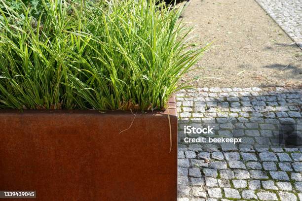 The Flower Bed Is Bordered By A Rusty Sheet Metal Design Perennials And Grass Bloom In The Flowerbed Paving Stone Cubes Between Two Flowerbeds Are Benches Stock Photo - Download Image Now