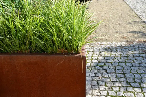 Photo of the flower bed is bordered by a rusty sheet metal design. perennials and grass bloom in the flowerbed. paving stone cubes between two flowerbeds. are benches