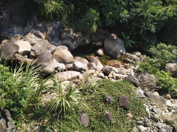 istock Small mountain stream with rocks in various sizes partially hidden in shadow by lush green foliage 1339444360