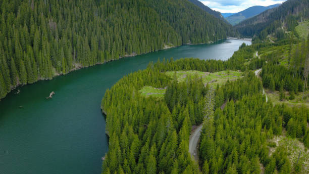 istock Galbenu Lake - Aerial Panorama 1339449087