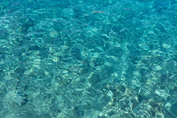 istock Azure clear Mediterranean Sea. Abstract natural background 1339449579