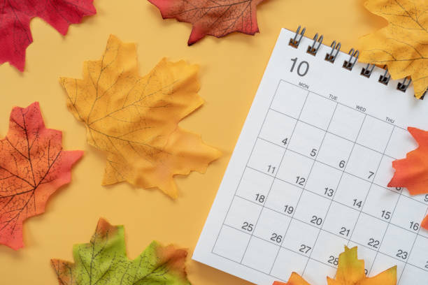 istock Calendar of October 2021 and fallen leaves. 1339450286