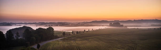 istock Landscape with fog seen from above 1339450510