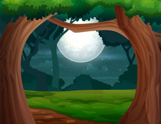 ilustrações de stock, clip art, desenhos animados e ícones de nature forest landscape at night scene with many trees illustration - rainforest tropical rainforest forest moonlight