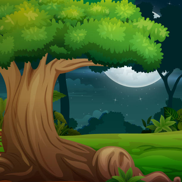ilustrações de stock, clip art, desenhos animados e ícones de nature forest landscape at night scene with a big tree illustration - rainforest tropical rainforest forest moonlight