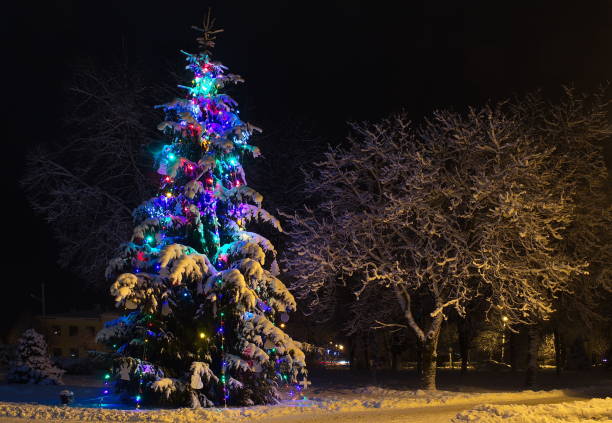 istock Snow covered outdoor Christmas tree with multicolored lights at night 1339454508