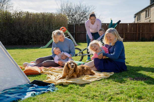 Fun in the Back Garden Two women and one of their mothers spending time together outdoors in a domestic garden with their children and pet cocker spaniel. Everyone is sitting on blankets on the grass while one woman is standing up behind them, caring for her baby who is in a pushchair. The main focus is the grandmother tickling her granddaughter, everyone is watching and laughing. grandmother child baby mother stock pictures, royalty-free photos & images
