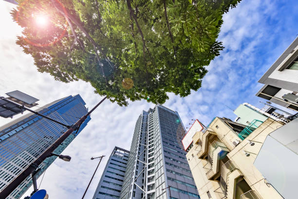 Buildings in Tokyo with beautiful sunlight