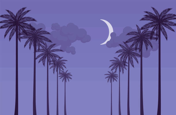 야자수 행 나이트 실루엣, 해안 해변 멋진 경치 - tourist resort hotel silhouette night stock illustrations