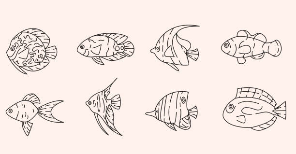 ilustrações, clipart, desenhos animados e ícones de peixes tropicais esboçam a coleta de elementos. linha de fauna subaquática isolada. - tropical fish clown fish isolated animal