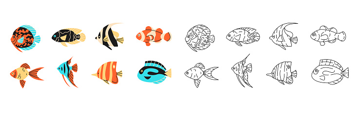 Different underwater fauna: goldfish, clownfish, angelfish in trendy flat design.