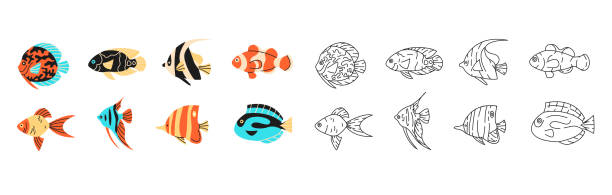 Tropical fishes simple elements collection. Oceanic wildlife flat isolated set. Different underwater fauna: goldfish, clownfish, angelfish in trendy flat design. angel fish stock illustrations