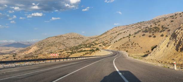istock green tree road and mountain landscape with evening sun lights 1339460329