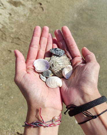 A hand holding a hermit crab shell.