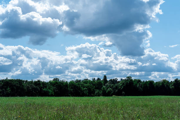 istock Green field, forest and blue sky with clouds. 1339467954