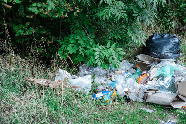 mountain of plastic debris under a tree in a park or forest. - toxic substance spilling pouring bottle imagens e fotografias de stock