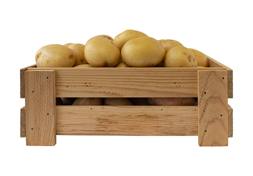 wooden crate with fresh ripe organic potatoes on white background, raw vegetables, side view