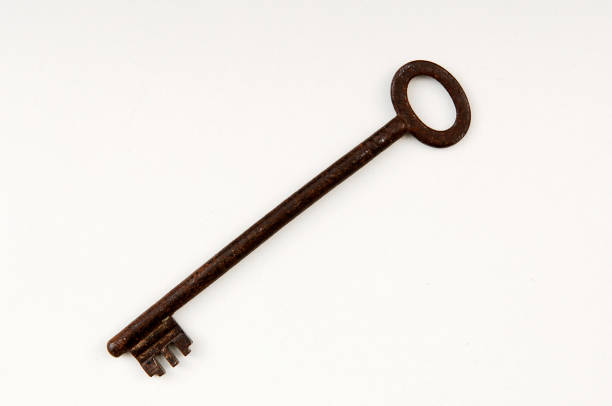 Key on white background close up.