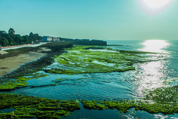 sonniger tag am jalandhar strand, diu - horizontal landscape coastline gujarat stock-fotos und bilder