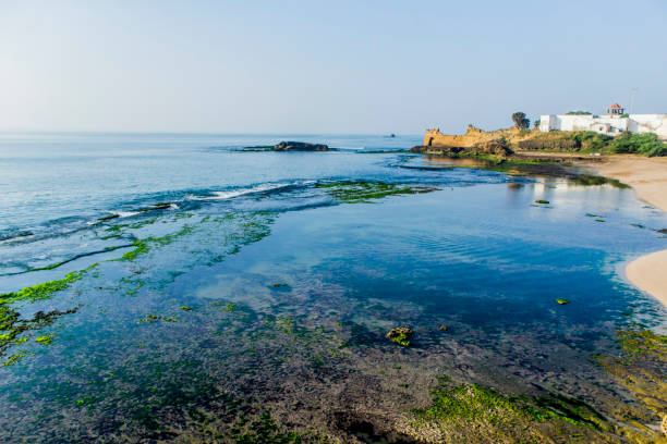 sunny day at jalandhar beach, diu - horizontal landscape coastline gujarat imagens e fotografias de stock