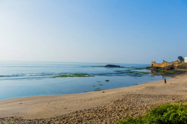 sonniger tag am jalandhar strand, diu - horizontal landscape coastline gujarat stock-fotos und bilder