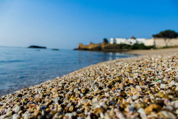 sonniger tag am jalandhar strand, diu - horizontal landscape coastline gujarat stock-fotos und bilder