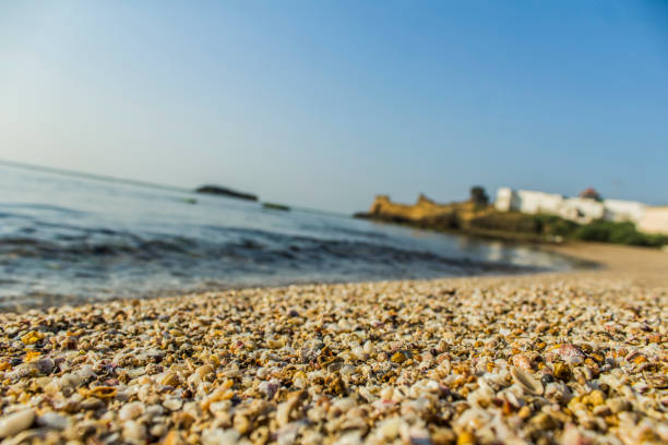 sonniger tag am jalandhar strand, diu - horizontal landscape coastline gujarat stock-fotos und bilder