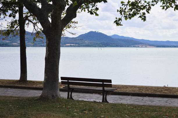 istock An isolated empty bench under the tree in a public park near a pedestrian walkway in front of Lake Trasimeno (Umbria, Italy, Europe) 1339472234
