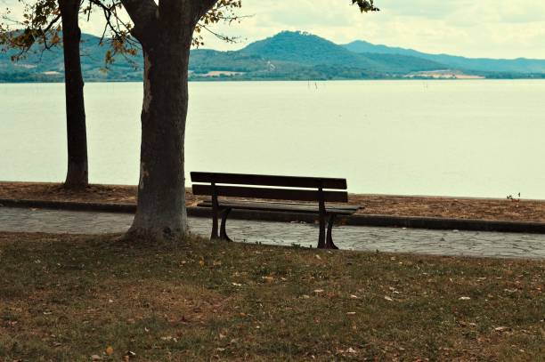istock An isolated empty bench under the tree in a public park near a pedestrian walkway in front of Lake Trasimeno (Umbria, Italy, Europe) 1339472256