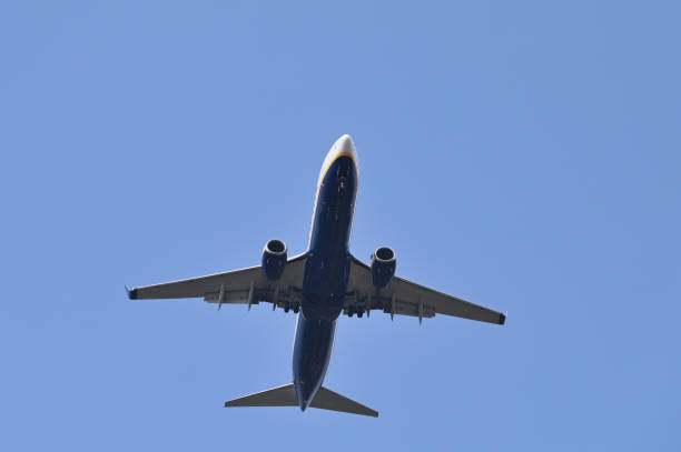 istock Passenger airplane flying on blue sky 1339473784