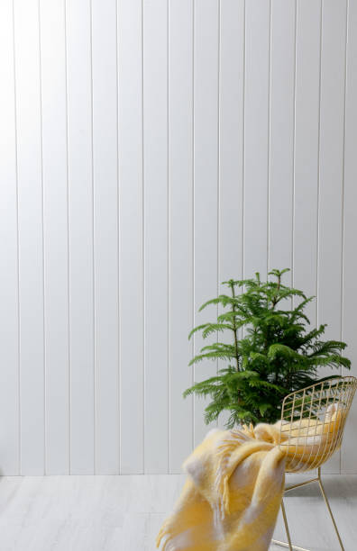istock modern home interior young room with style design 1339475117