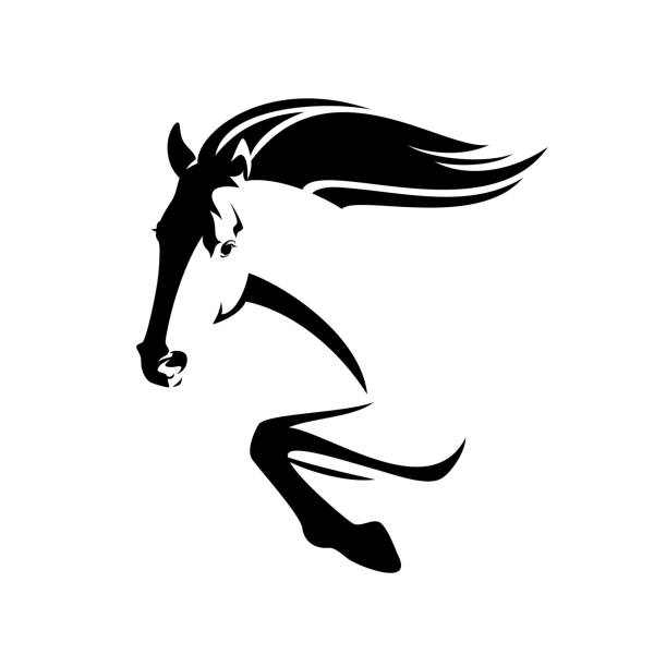 illustrations, cliparts, dessins animés et icônes de mustang cheval accélérant vers l’avant noir et blanc vecteur tête et jambes contour - cheval